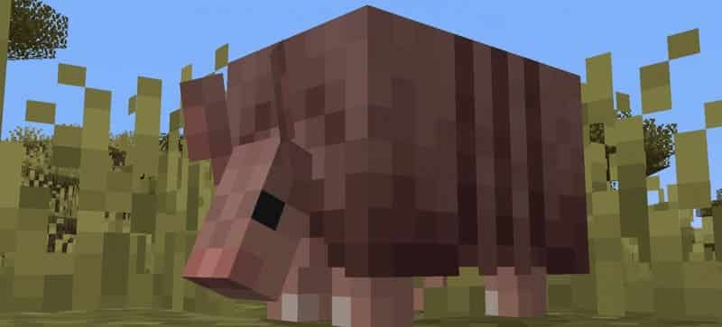 Minecraft 1