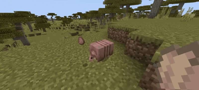 Minecraft.22