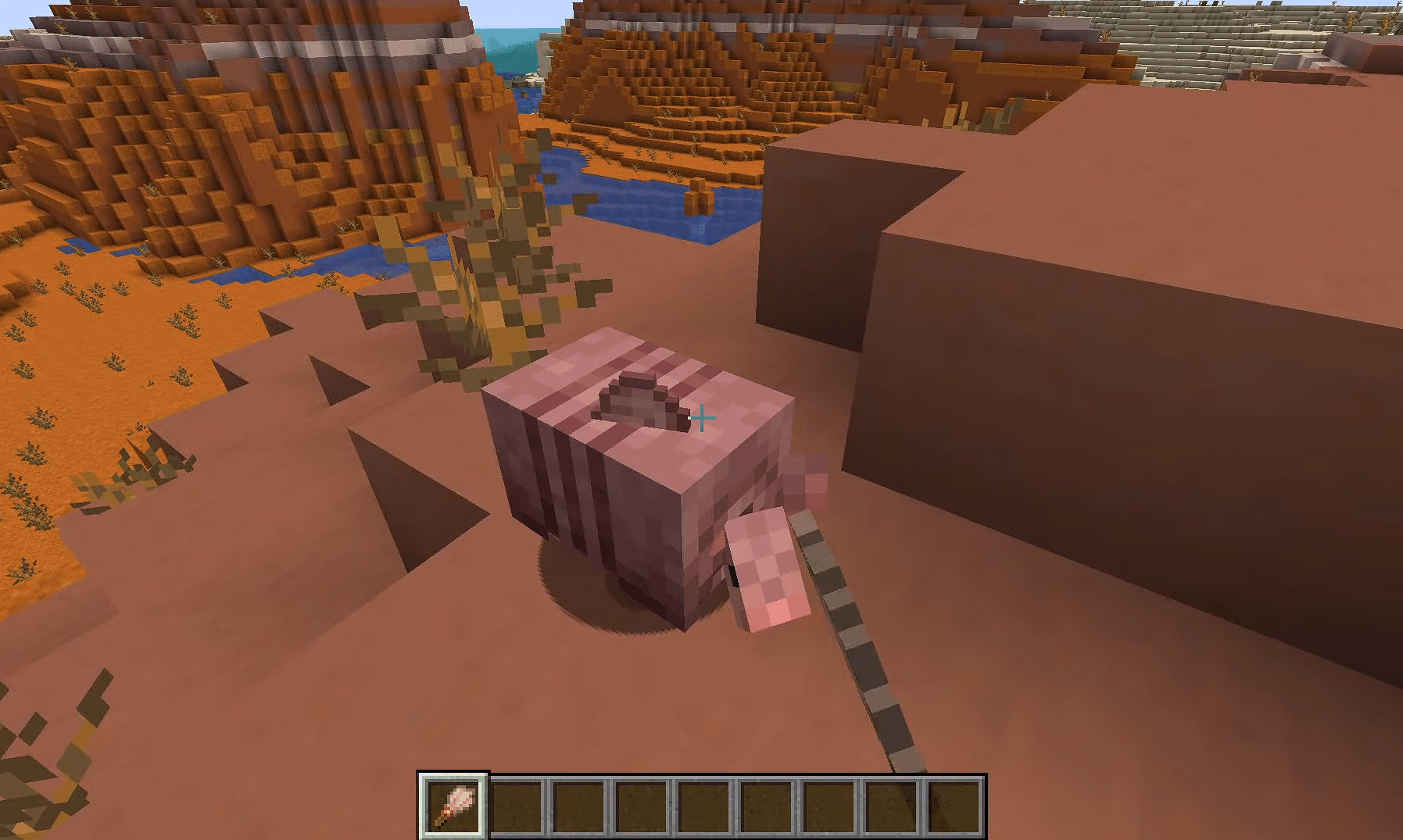 24 Everything You Need to Know About the Armadillo Easy Minecraft Mob Guide YouTube Opera 8 2 2024 7 42 31 PM e1722642213923