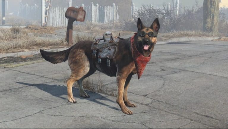 Fallout 4: Where to Find Dogmeat