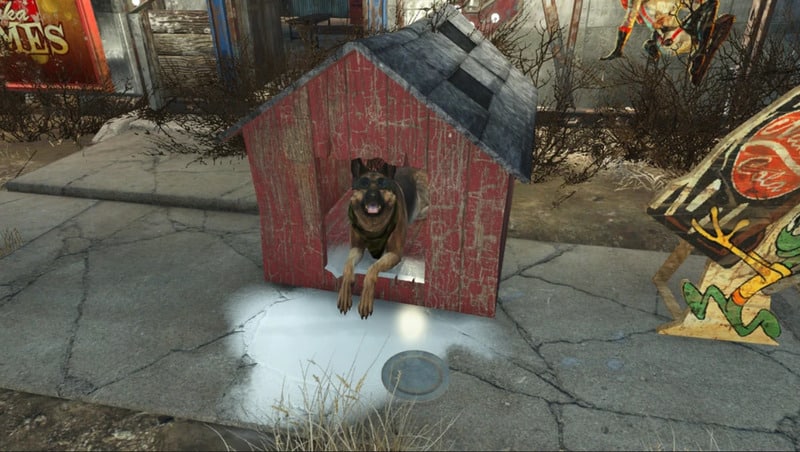 fallout 4, dogmeat