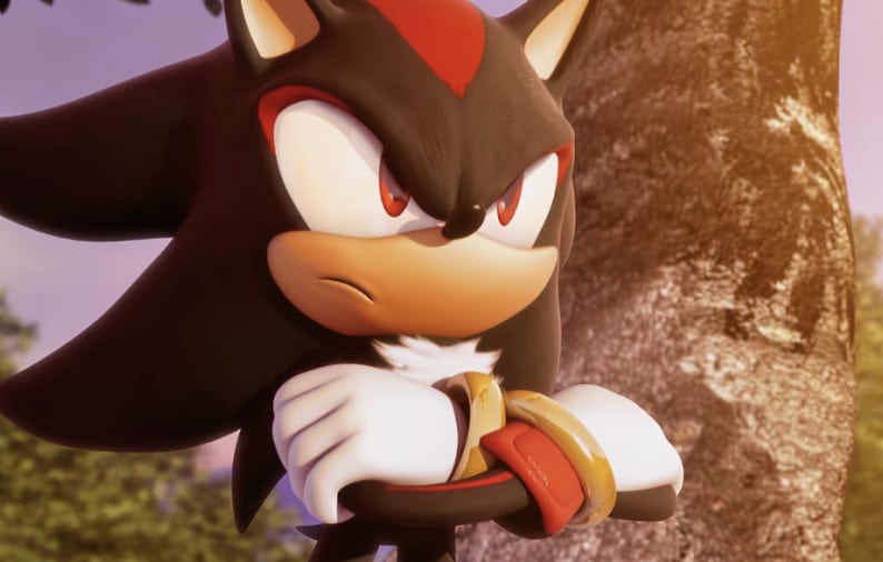 Shadow the Hedgehog