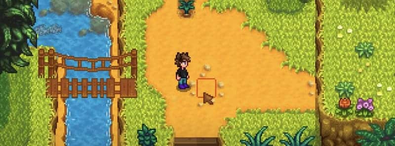 Stardew Valley Golden Walnut Locations in 2024