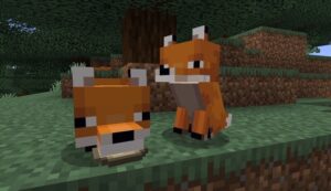 minecraft, tame foxes