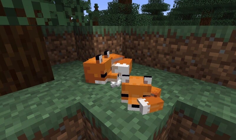 trusting fox, fox kit, minecraft, tame foxes