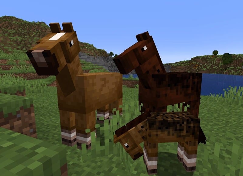 horses, breeding, breed horses, minecraft