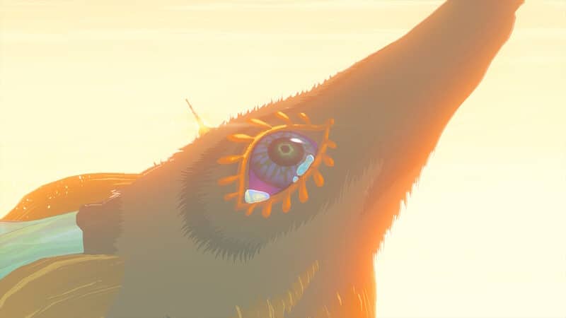 The Legend of Zelda Tears of the Kingdom Light Dragon Crying