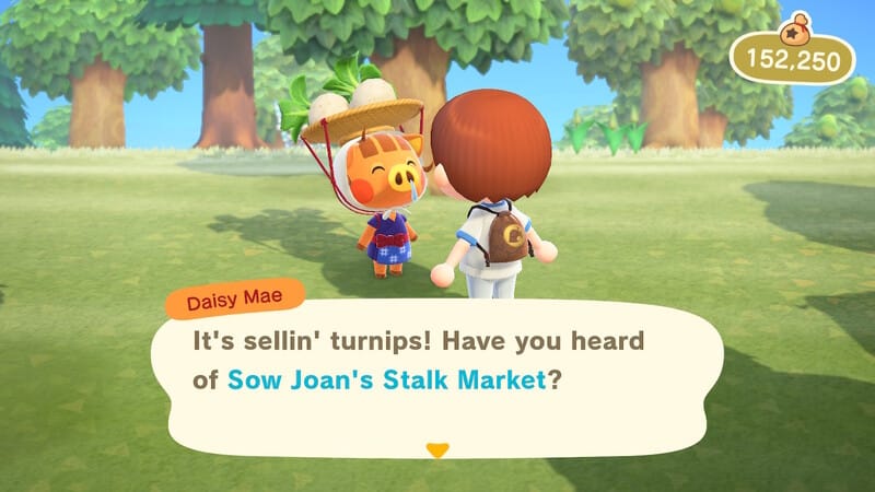 daisy mae animal crossing new horizons joan turnips