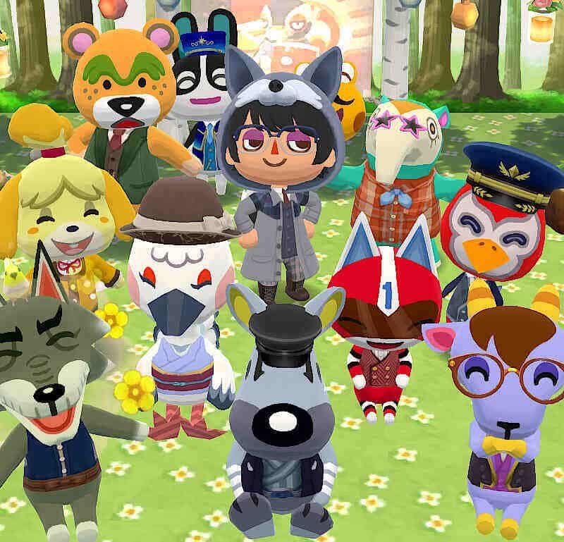 Animal Crossing Pocket Camp Nov. 25th