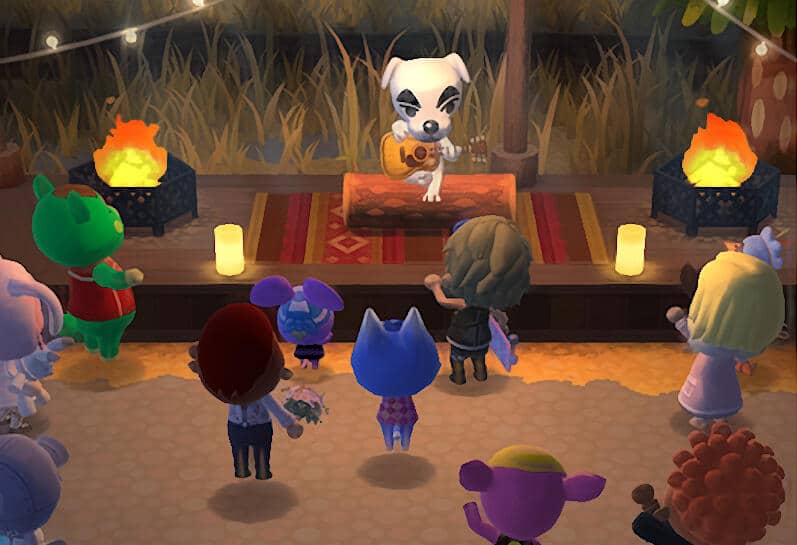 Animal Crossing Pocket Camp Complete