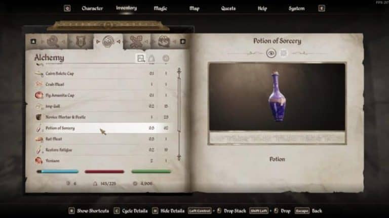 Image of a Potion of Healing in Oblivion Remastered.