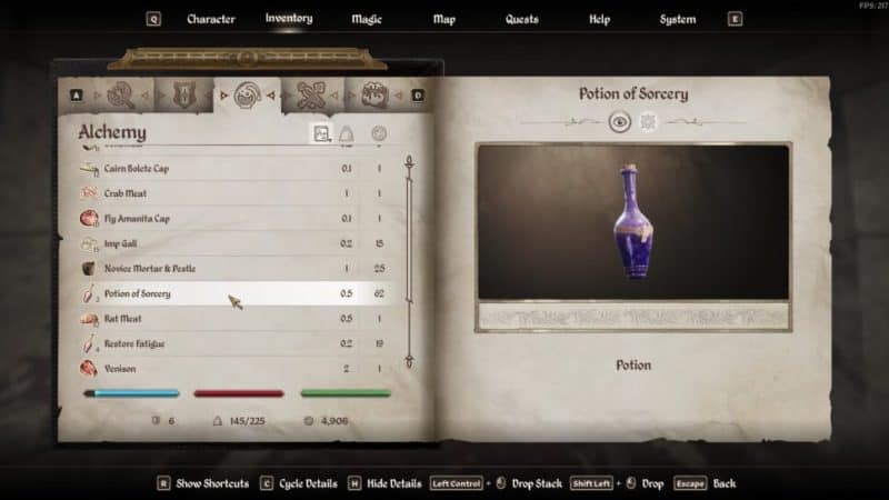 Image of a Potion of Healing in Oblivion Remastered.
