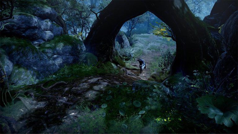 Oakveil Forest In V Rising