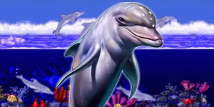 Ecco the Dolphin