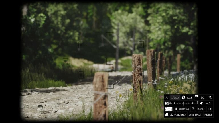 Simulator Lushfoil Photography Sim