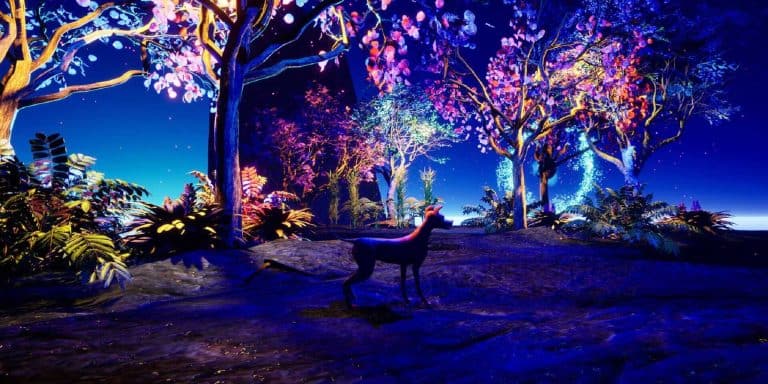 Matinta's World forest scene