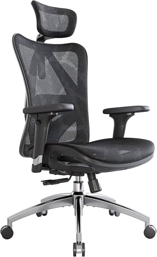 Sihoo M57 ergonomic chair