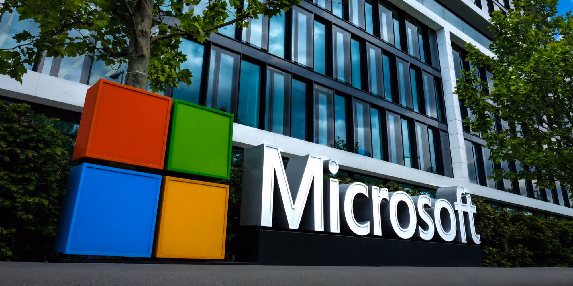 Microsoft vs Macrohard