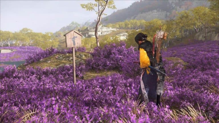 Ghost of Yotei guide