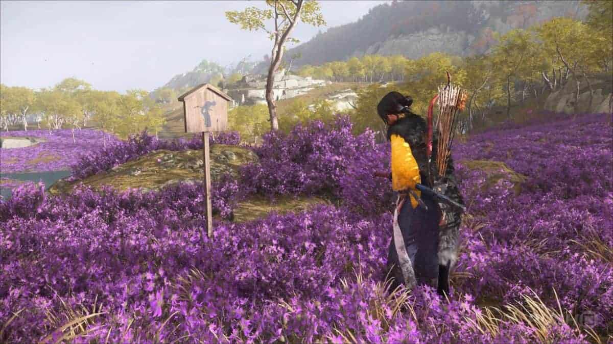 Ghost of Yotei guide