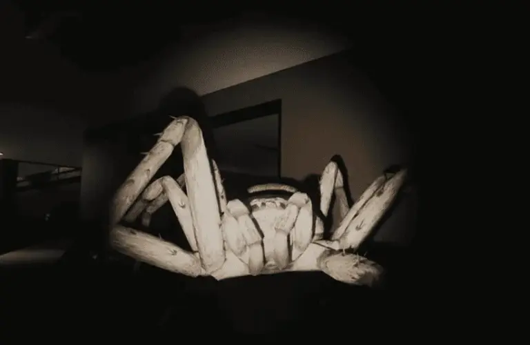 Huntsman, massive spider, survival Horror, Creature Feature series, Episode One, monster up close, death strike