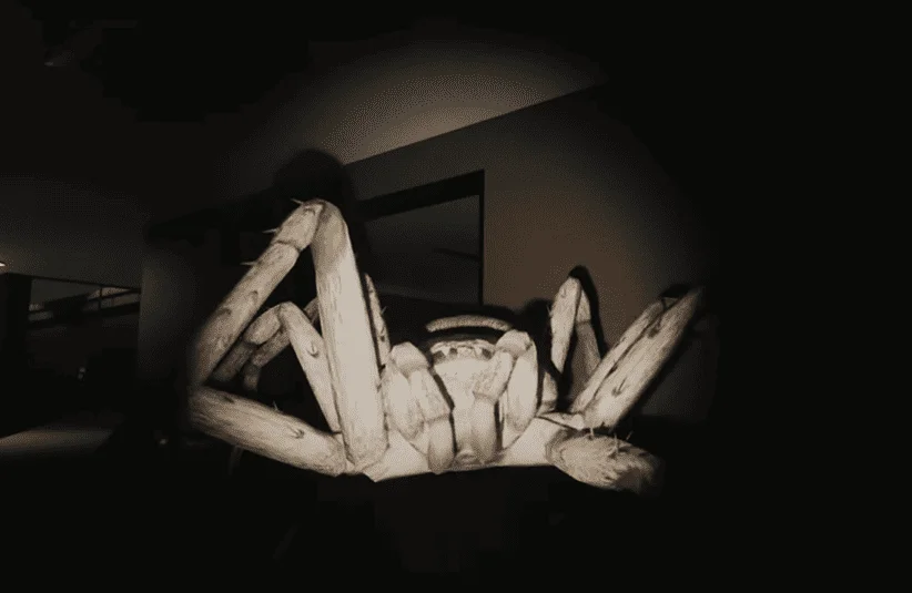 Huntsman, massive spider, survival Horror, Creature Feature series, Episode One, monster up close, death strike