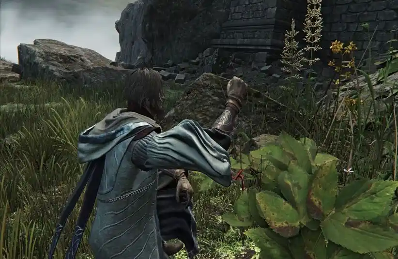 Elden Ring Nightreign The Scholar