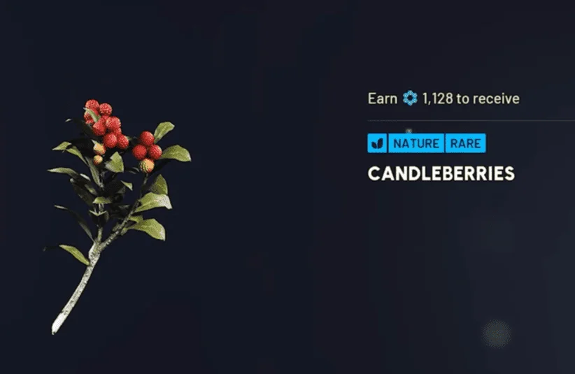 Arc Raider's Cold Snap special event the Flickering Flames, candleberries are the key items to collect